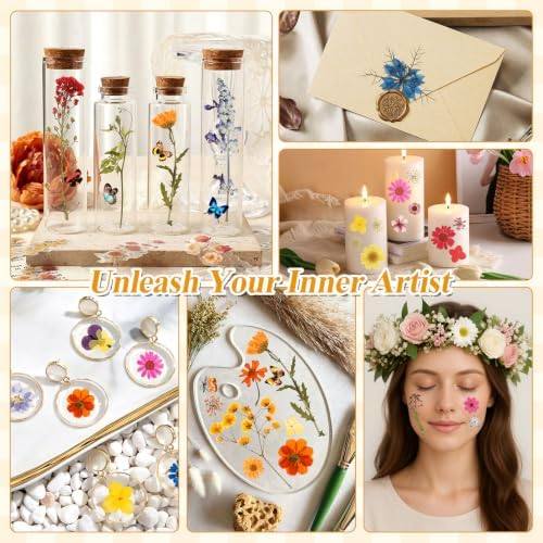 Dried Flowers for Crafts, 331 PCS Dried Pressed Flower Butterfly Stickers with Tweezers Real Natural Pressed Dried Florals Leaves for Resin, Jewelry, Card Making, Soap,Candles, Nail Art, Scrapbooking