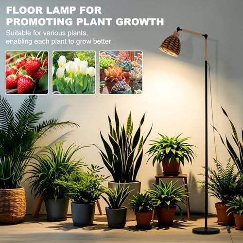 Grow Lights for Indoor Plants Full Spectrum, Plant Lights for Indoor Growing with 30W 4000k, 24H Timer, Standing Tall Grow Lamp for Middle Large Plants(72'', Height Adjustable)