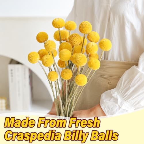30PCS Dried Billy Balls Flowers for Flower Arrangements & Wedding Decor