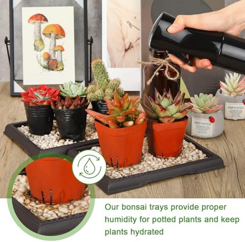 Pinkunn 2 Pcs Bonsai Humidity Tray for Indoor Plants,7.8 X 5.5 Inch