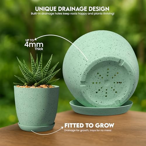 Plant Pots Indoor with Drainage 5 Pack Multi-Size Planters Set Spotty Mint