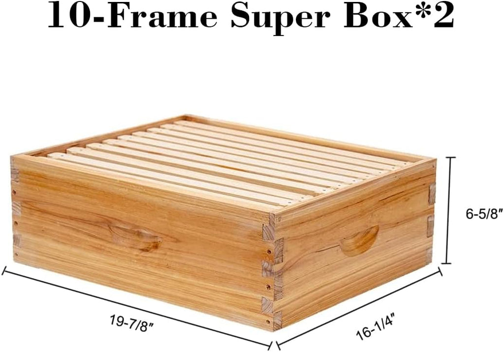 BeeCastle 10 Frame Langstroth Bee Hive Coated with 100% Beeswax Includes Beehive Frames and Waxed Foundations (2 Deep