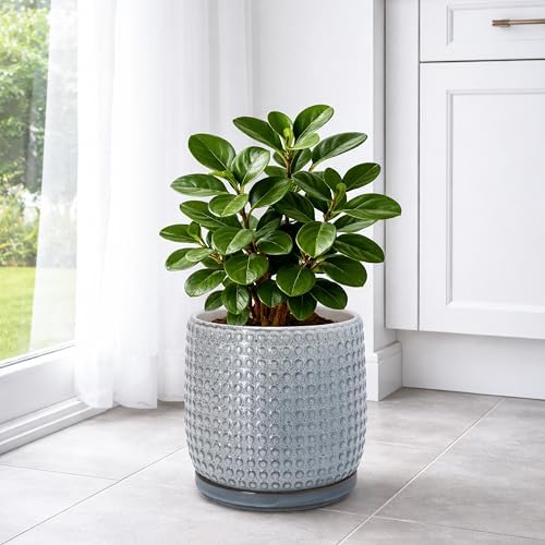 D'vine Dev Beaded Ceramic Pot with Saucer, 8 in, Graphite Blue, 27-C-Q-9
