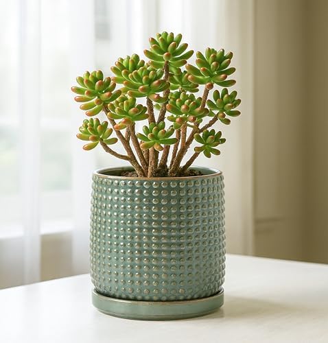 D'vine Dev Beaded Ceramic Pot with Saucer, 6 in, Olive, 27-C-X-0