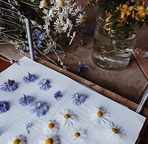 Flower Press Refill Paper Replacement Blotters Paper Refill Lining Paper Blotter Paper Refill (60pcs 11x9 inch)