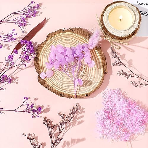 Real Dried Flowers, Natural Dry Flowers Mixed Natural Pressed Flowers Flores Secas Dried Florals for Crafts,Resin,Candle Making (Purple)