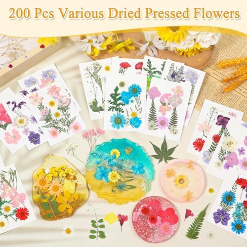 Evatage 200 Pcs Small Dried Pressed Flowers for Resin Crafts