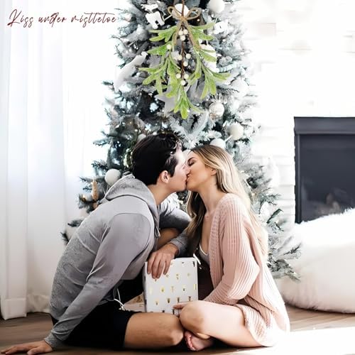 2 Pcs Frosted Mistletoe Hanging Decorations, 10.6'' Artificial Mistletoe Ornament Hanging Kissing Ball with Berry for Christmas Winter Holiday Decor (2, White)