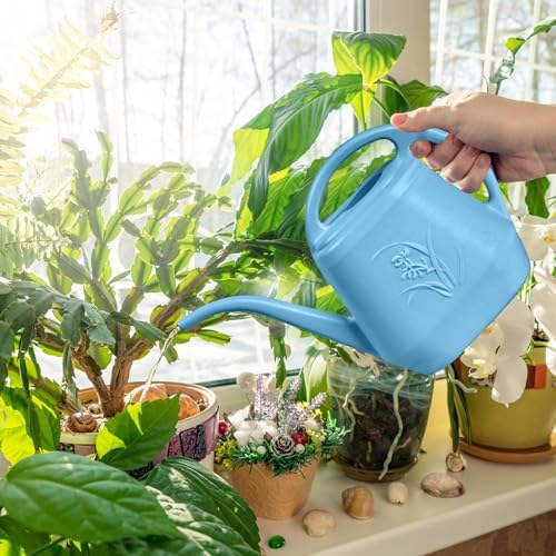 ZXJ Plant Watering Can - for Indoor and Outdoor Home Garden Plants - with Long Spout - Skye Blue - 1/2 Gallon