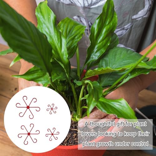 PEUTIER 4pcs Plant Stem Supports, Plastic Houseplant Climbing Holders