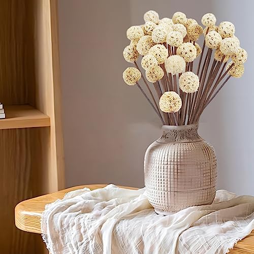 30 PCS Natural Dried White Craspedia Billy Balls Flowers, 17'' Real Plants