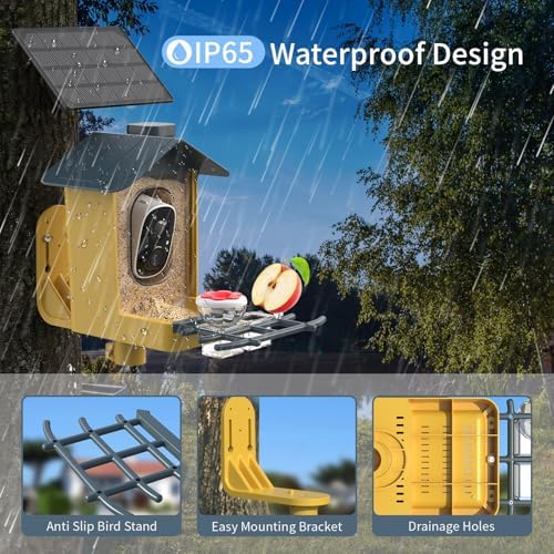 Bird Feeder with Camera - AI Identify Bird Species, Auto Record Bird Video