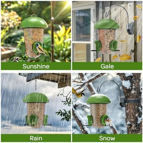 LONA Bird Feeder with 3 Compartments, Dome Bird Feeder for Outdoors, Plus