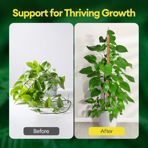 Maygrove 3-Pack 48" Bendable Moss Pole Monstera Plant Support for Climbing