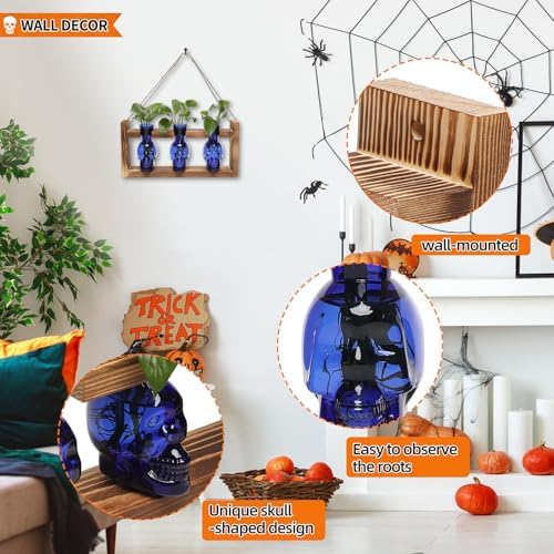 Plant Terrarium Propagation Stations Skull Planter Vase Skulls Decor