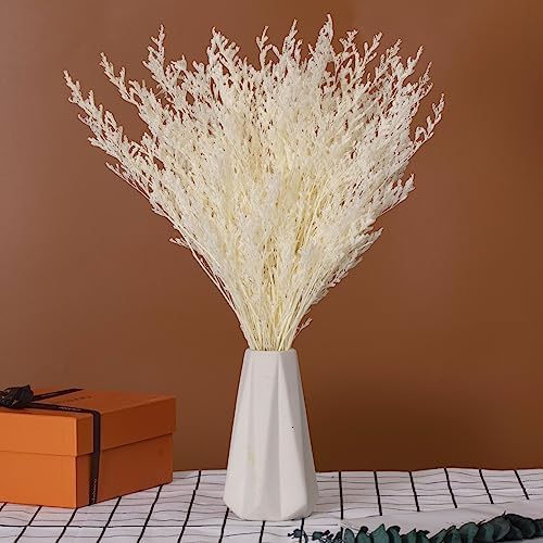 Dried Flower Bouquet, 17'' Dry White Caspia Flowers Bundle for Vase Decor