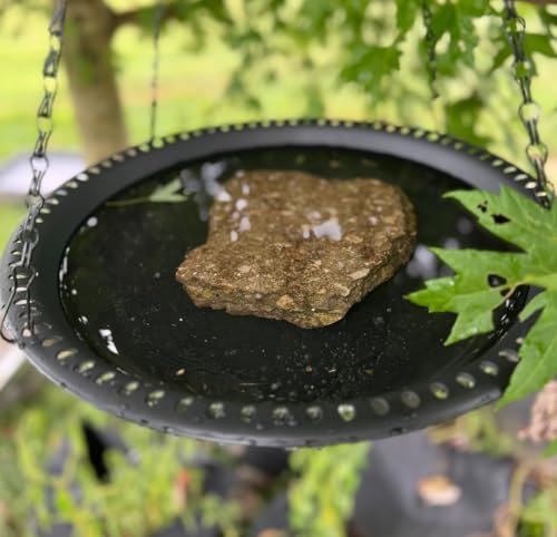 Hanging Bird Bath Bird Feeder 12 inch, 2 Pack Birdbath Tray for Garden Yard Outside, Brown