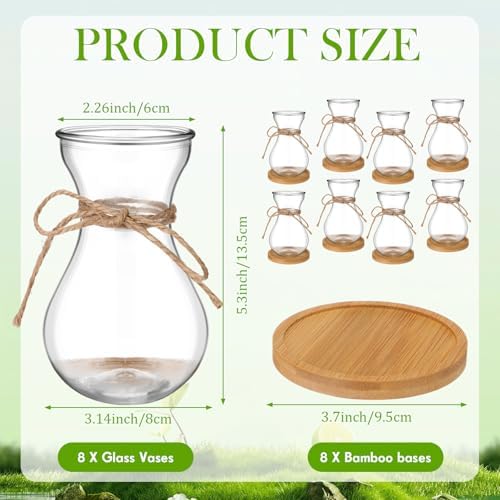 Bulb Glass Vases for Flowers Forcing Hyacinth Clear Decorative Bulb Vase with Round Bamboo Coaster for Home Office Table Decoration(8 Pcs)