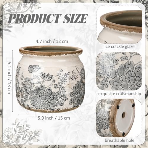 Vintage Planter Large Ceramic Plants Pot Grey Flower Pot
