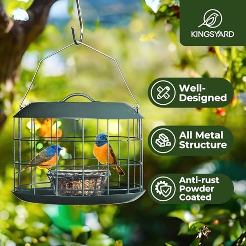Kingsyard Bluebird Feeders for Outdoors Hanging
