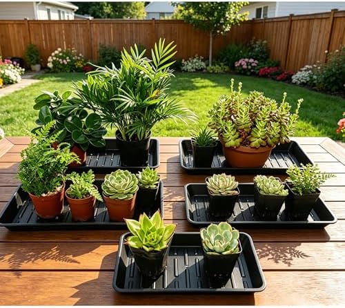 6 Pack Plastic Plant Trays Rectangular 14 Inch, Indoor Outdoor Plant Saucers with Drip Protection, Windowsill Planter Tray, 7 x 14.5 Inches, Black
