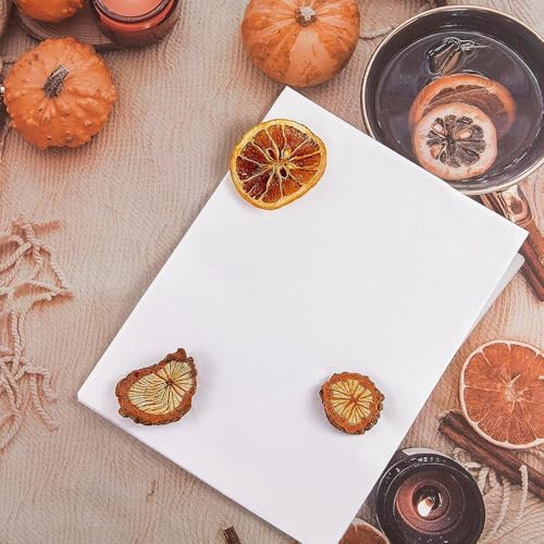Marspark 50 Pieces Flower Press Paper A5 Blotter Sheets, 8 x 6 Inch