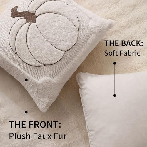 Allorry Fall Pillow Covers 22x22 2 Pack Cream White Pumpkin Home Decor 010E