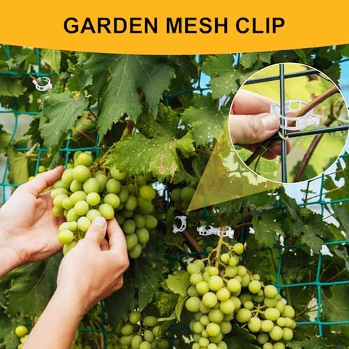 200Pcs Secured Plant Support Clips - Tomato Clips for String Trellis, Grape Vine Grid Clamp for Garden Netting Climbing Plants, Fixing Stem and Vine (White)