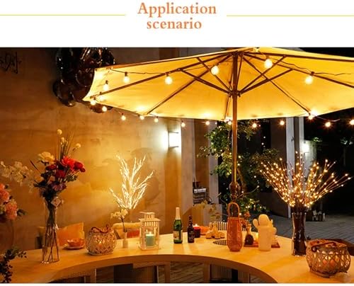 Twig Lights, 30 Inch 60 LED Lighted Branches for Vases