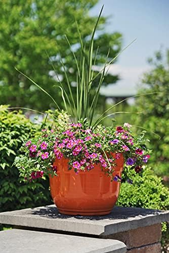 Garden Elements Indoor/Outdoor Glazed Brushed Happy Plastic Planter, Large, Bright Orange, 15" (Pack of 2)