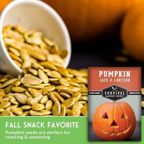 Jack O' Lantern Pumpkin Seeds for Planting - 2 Packs