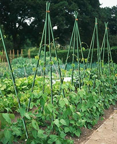 Garden Stakes 6-Ft for Climbing Plants Supports Pole 20 Pack Rust-Free Plant Sticks Fence Post