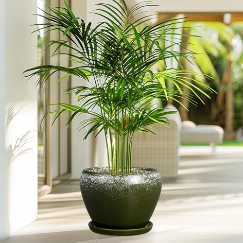 Ceramicfor 8 Inch Plant Pot - Ceramic Planter with Drainage, Dark Green