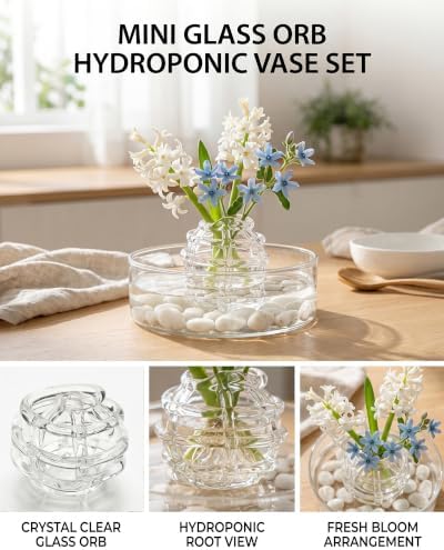 Modern Glass Flower Frog,Floral Stem Holder with Irregularly Ring Design