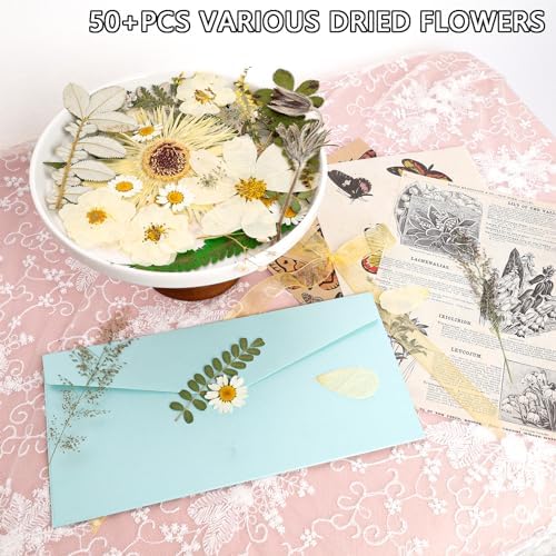 50Pcs Dried Pressed Flowers Real Pressed Flowers Natural Dry Leaves Bulk Mixed Colorful Herbs Kit with Tweezers for Scrapbooking DIY Candle Jewelry Crafts Making Nails (White)
