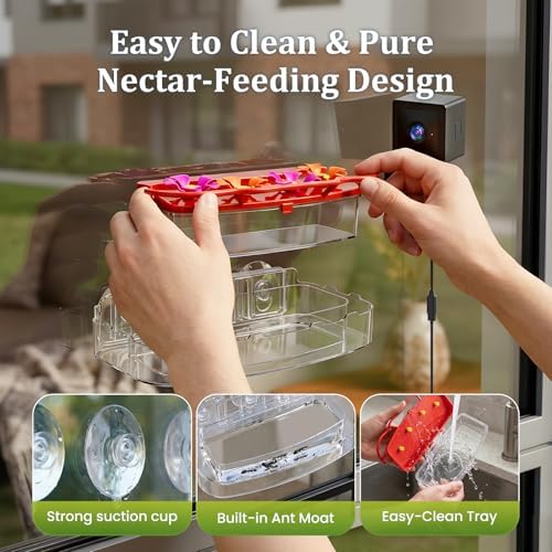 2K Smart Window Hummingbird Feeder Camera with AI Identify, Auto-Capture Fast Moments, IP65 Waterproof & Ant Moat, Strong Suction for Apartment/Cat TV, Best Gift for Bird Lovers