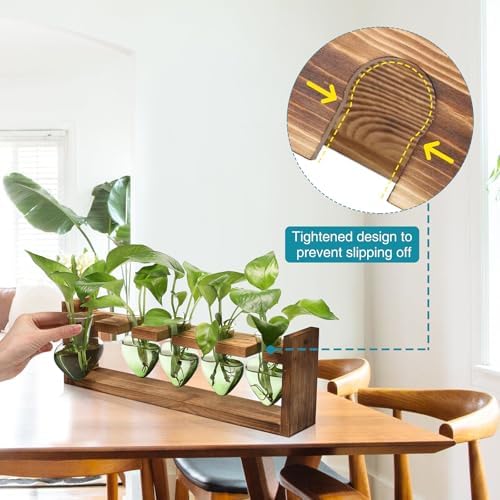 Plant Terrarium Hanging Propagation Stations Gift for Women