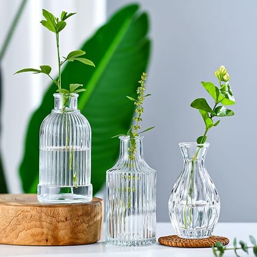 Small Glass Vases for Flowers, 32pcs Clear Mini Bud Vases in Bulk