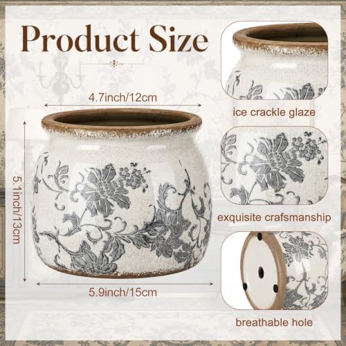 Vintage Planter, Ceramic Pot for Indoor Plant with Drainage Hole