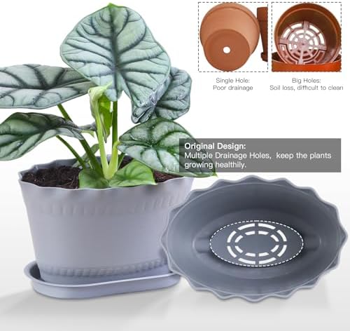 Oliz Herb Planter Pots 6 Pcs, Window Box Planter Flower Plants Pots for Succulent Cactus Flower with Trays, for Home Garden Kitchen Decor (Grey)