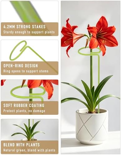 6-Pack Plant Support Stakes for Indoor Plants, Monstera Plant Support & Tall Sticks, Heavy Duty Adjustable 15.8-Inch Garden Stakes for Amaryllis, Snake Plant, Indoor Outdoor Use