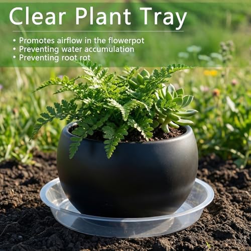 6Pack Plant Saucer, 3 5 7 9 11 13 15 17 19 21 in Plastic Plant Tray