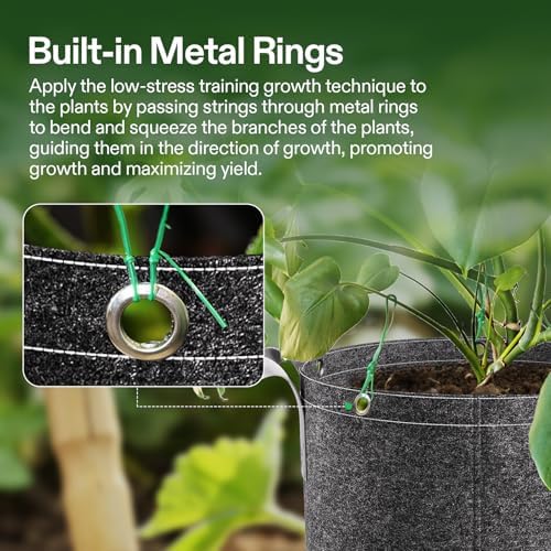 VIVOSUN 10-Pack 3 Gallon Grow Bags, 500G Thick Nonwoven Fabric Pots with Strap Handles, Multi-Purpose Rings, for Low