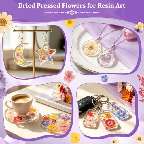 Evatage 480 Pcs Real Dried Pressed Flowers for Resin Crafts