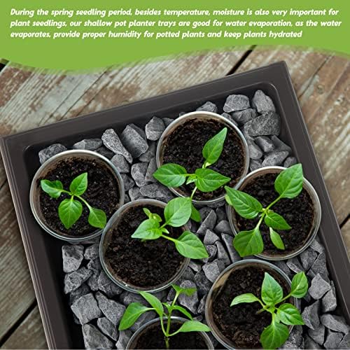 Pinkunn 6 Pcs Bonsai Humidity Tray for Indoors and Outdoor Rectangular Drip