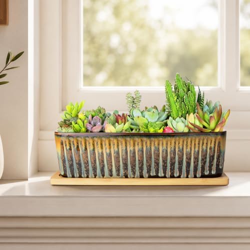 Succulent Pots, 12'' Long Rectangle Planters with Tray, Windowsill Planter