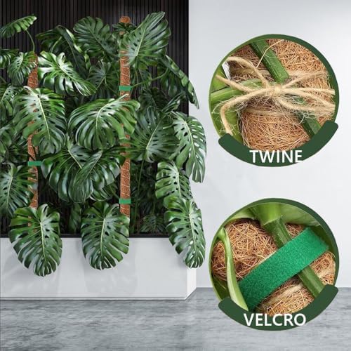 MAFONE 2 Pack 28” Bendable Moss Pole Monstera Plant Support