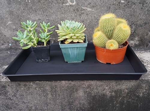 VUWEZ Plant Growing Trays 2 Pack, Plant Tray, 14.5"x11", Heavy Sturdy Plastic Plants Saucer, Seedling Starter Trays, Seed Starter Growing Tray (Black)