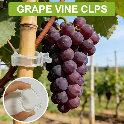 150Pcs Tomato Clips for Climbing Plants/String Trellis,2026 Adjustable Ties for Gardening,Plant Support Clips for Tomato Vine Clips,Plant Fixing Clips,Grape and Vine Vegetables（Transparent）
