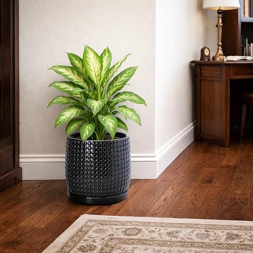 D'vine Dev Beaded Ceramic Pot with Saucer, 8 in, Glossy Black, 27-C-Q-2
